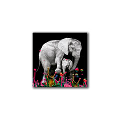 HOGAR VENECIA - Cuadro Elefante Colores S 30X30 Cm
