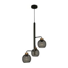 IKELITE DESIGN - Lámpara Colgante Negro 3l E27 40w (Convertible)